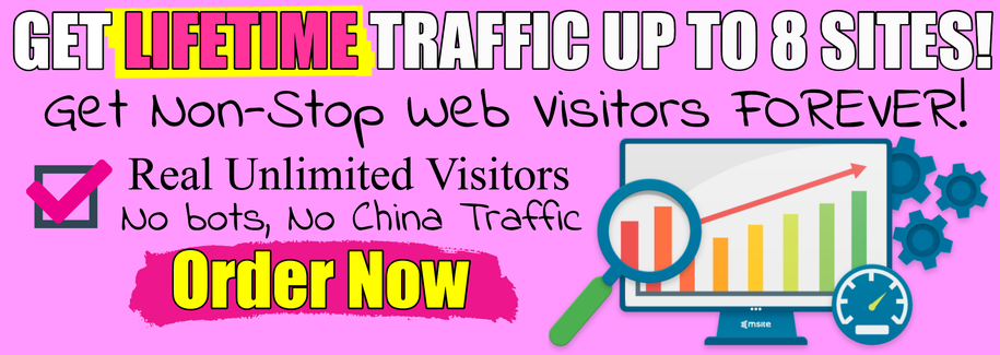 Lifetime Website Traffic